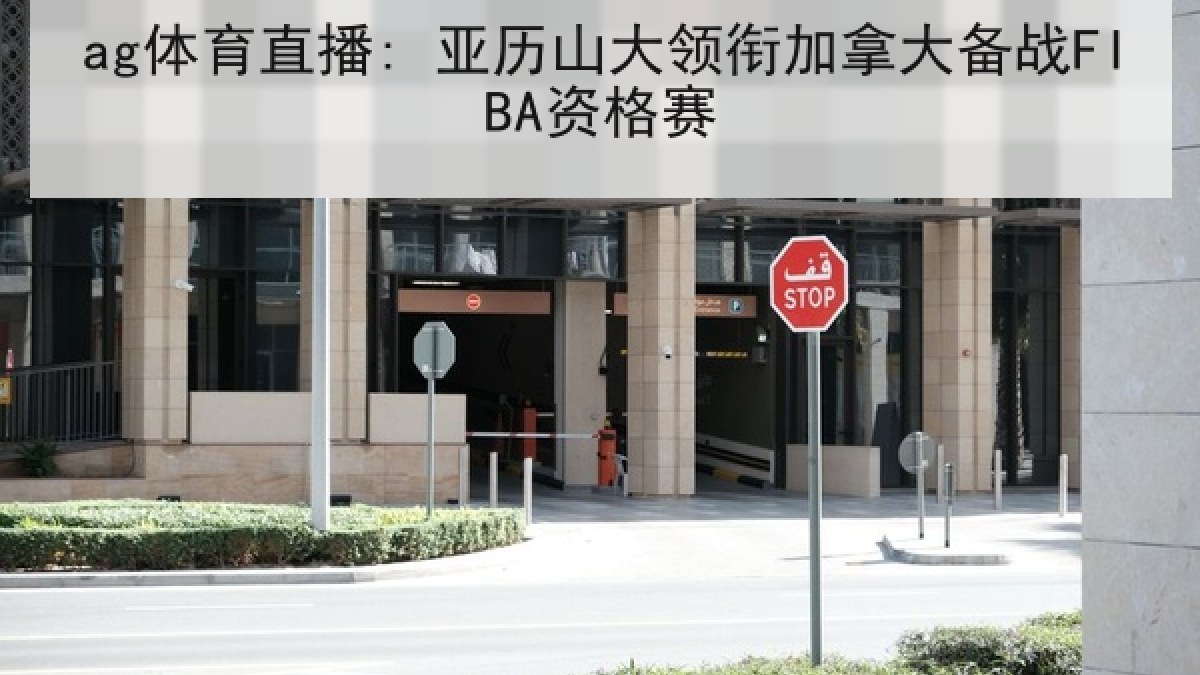 ag体育直播: 亚历山大领衔加拿大备战FIBA资格赛